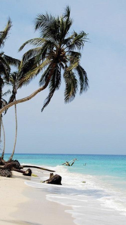 Adyam B & B San Andrés Extérieur photo
